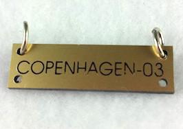 World Congress Dangle