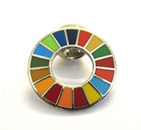 Authentic Magnetic SDGs Lapel Pins – UNDP Shop, 60% OFF