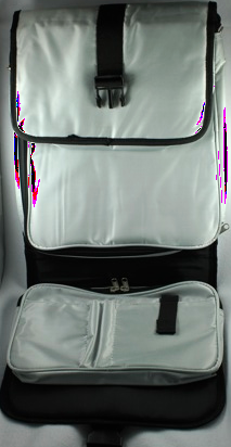 Silver Folding Computer Backpack