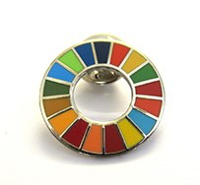 Global Goals Pin