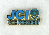 National Officer Pin